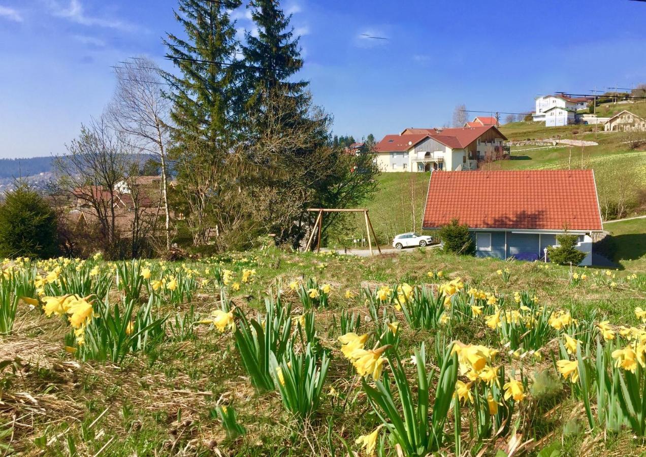 Chalet Le Flocon Bleu - Mauselaine Avec Vue Sur Le Lac De Gérardmer Exterior foto